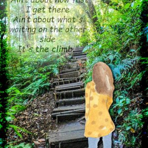 The Climb