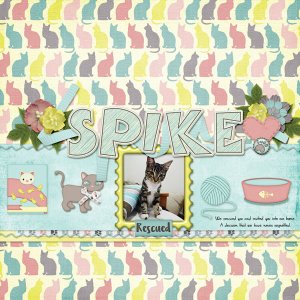 Spike