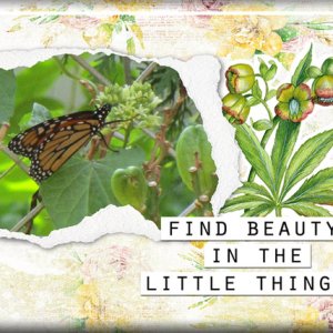 Little Things