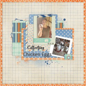 Collecting Chicken Eggs