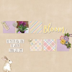 Bloom
