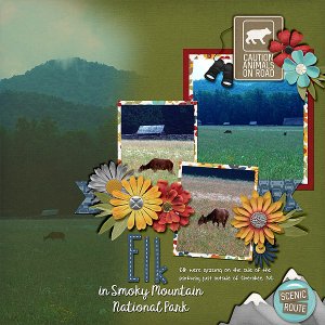 elk-smnp