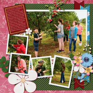Cherry Pickin' Right
