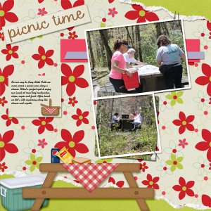 Picnic_L