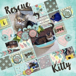 Rescue Kitty