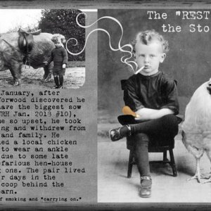 The "REST" of the Story