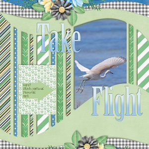 Take Flight