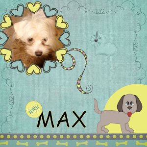 Fetch Max