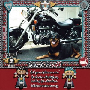 Born to be Wild