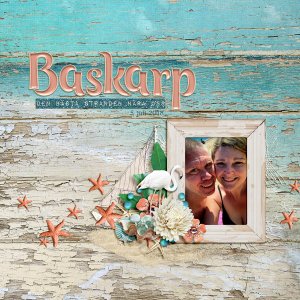 Baskarp 2018