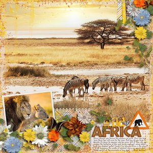 wild Africa