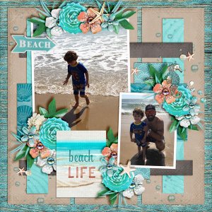 Beach-Life1