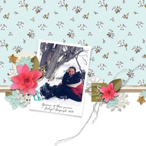 WINTER DAYS