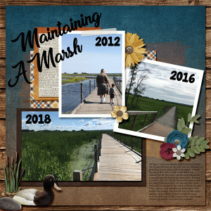 Horicon Marsh