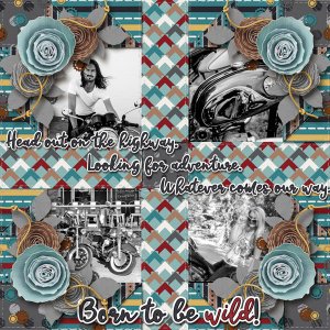 Born To Ride