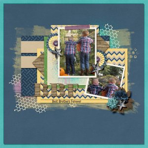 Best Brothers Forever