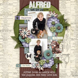 Alfred-and-the-puppies