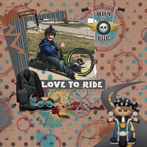 Born To Ride by Boomersgirl Designs