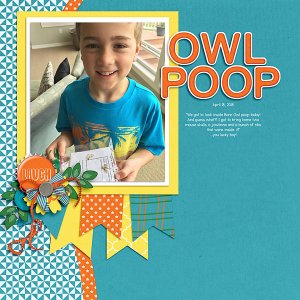 Owl Poop