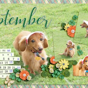 September