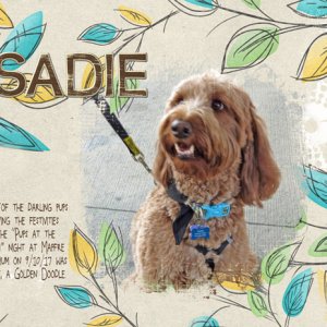 Sadie