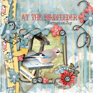 At-the-birdfeeder