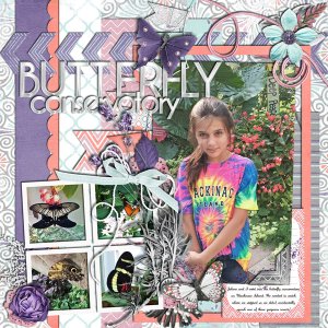 Butterfly Conservatory