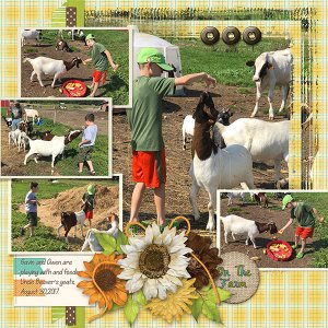 On The Farm