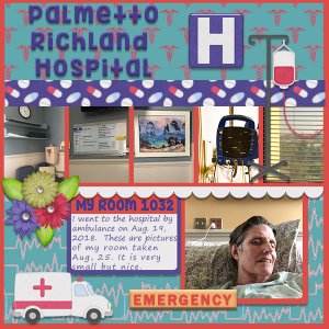 My Hospital Room