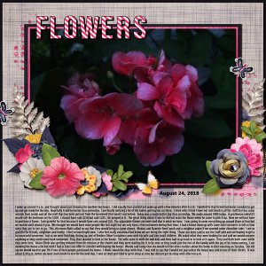 8-August_24_2018_small