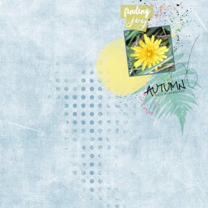 Finding Joy