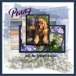 GSTempCh1-818-PennySpringFlowers3718