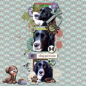 Dog Person