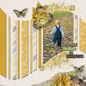 Nearly Autumn