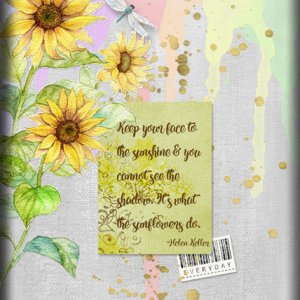 ATC 2018-084 Keep Your Face to the Sunshine