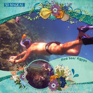 hubby and the many sea wonders