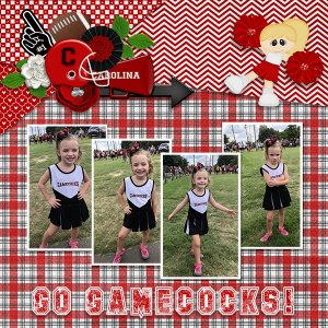 Go Gamecocks!