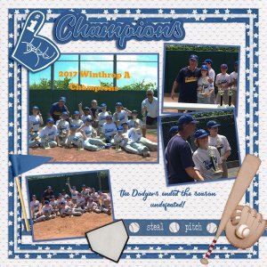2017 AJ Baseball Champs