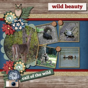 Wild Beauty