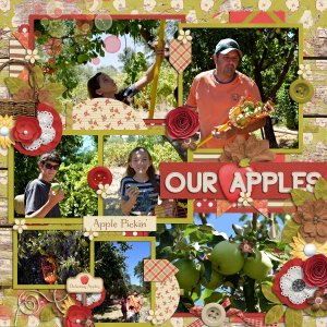 Our Apples