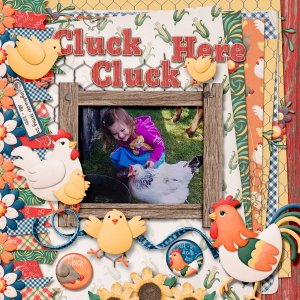 Cluck Cluck Here