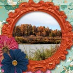 Look September