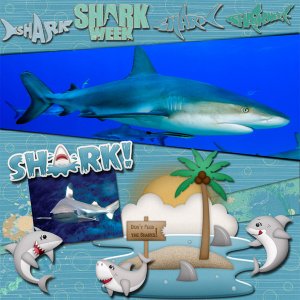 Shark