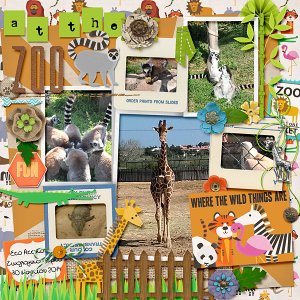 At the zoo