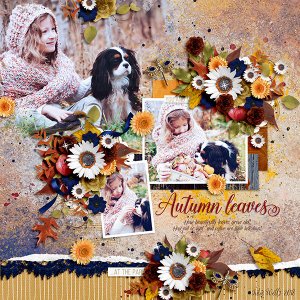Autumn leaves