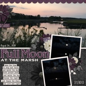 Full Moon at the marsh