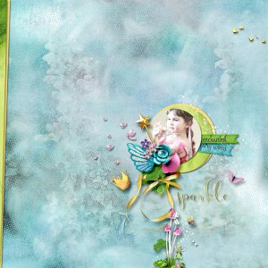 Enchanted Fairy Wings