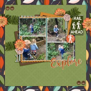 Bush Walking