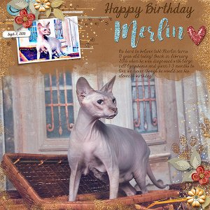 Happy Birthday Merlin