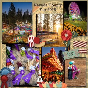 A Day at the Fair!